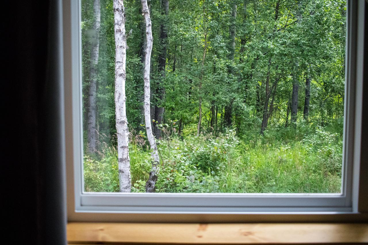 Talkeetna Wilderness & * Sunshine